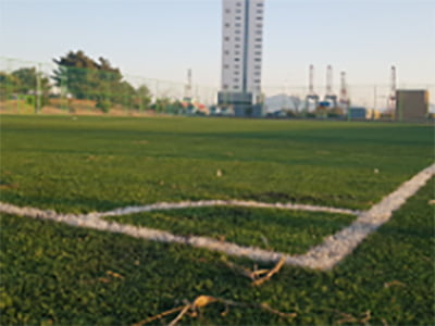 축구장 두번째 이미지 보기