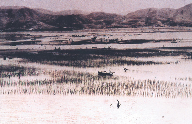 1969.04.17 삼일항 개항